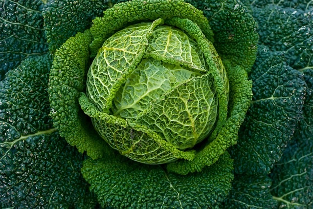 pommé