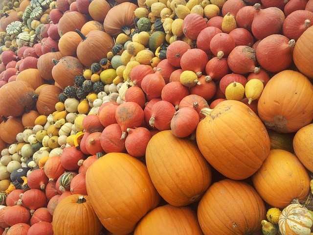 potimarrons