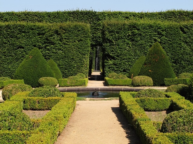 JARDIN