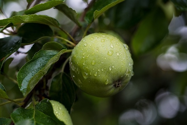 verte