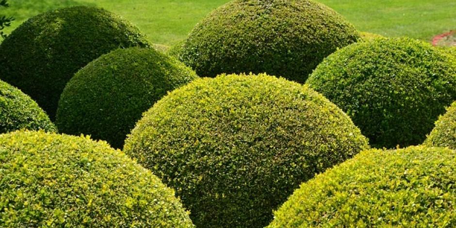 rond