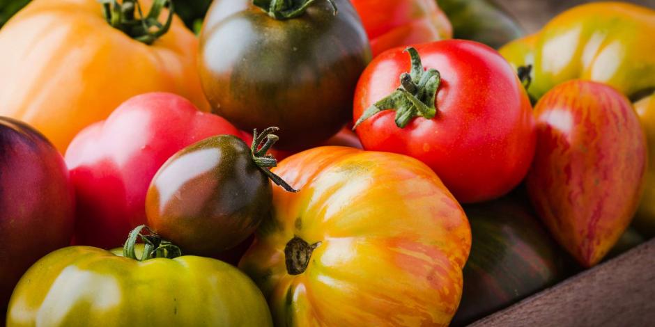 tomates
