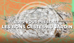 janvier