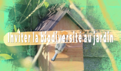Favoriser la biodiversité au jardin